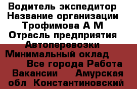 Водитель-экспедитор › Название организации ­ Трофимова А.М › Отрасль предприятия ­ Автоперевозки › Минимальный оклад ­ 65 000 - Все города Работа » Вакансии   . Амурская обл.,Константиновский р-н